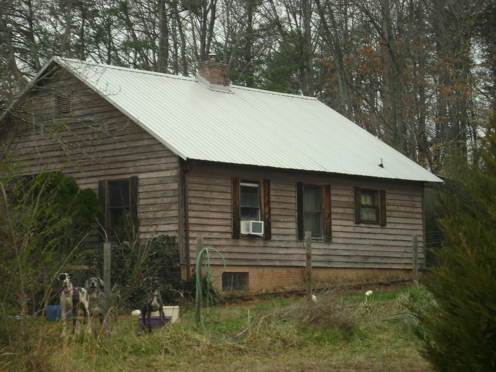 White metal roof on an old wood sided farmhouse, from a Asphalt Shingle Roof Repair job in Geneva
